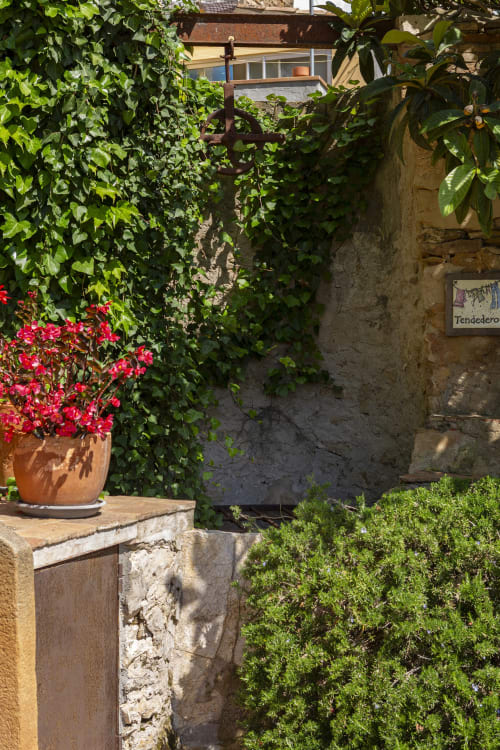 Cour luxuriante aux Apartmentos Rectoria de Regencós, Costa Brava, avec murs de lierre, fleurs rouges et pierre