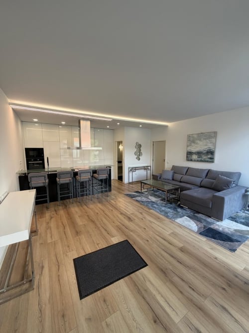 Moderno apartamento de 1 quarto na Galagana Charm House, Golegã com cozinha aberta, sala de estar, sofá cinza e piso de madeira