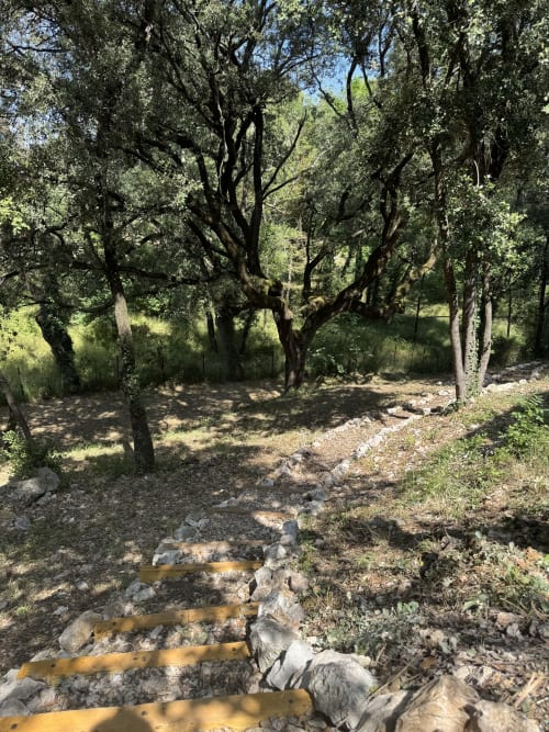 Allée ombragée du jardin bordée d'oliviers au Domaine d'Olga, Aniane