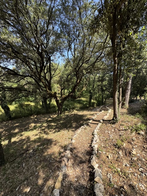 Allée de pierre à travers un jardin forestier ombragé du Domaine d'Olga, Aniane, serpentant entre de grands arbres et une végétation luxuriante