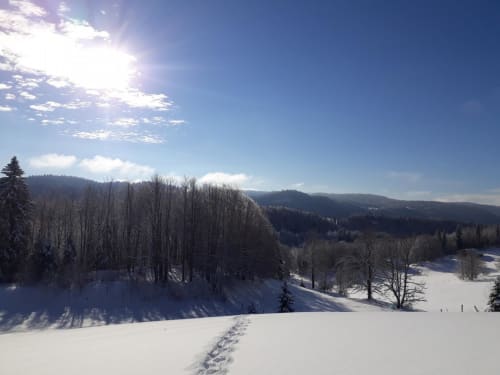 Paysage hivernal enneigé avec forêts et montagnes près des 3 Marches à Lamoura, France