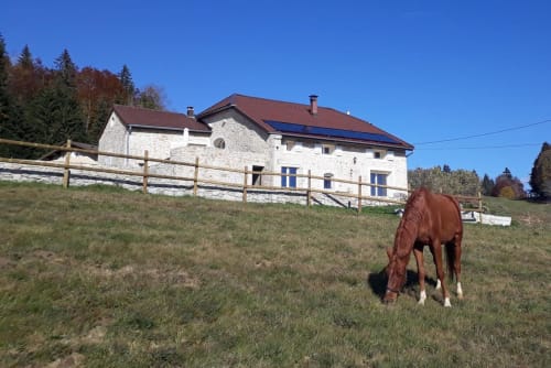 Cheval brun broutant près de la maison en pierre Les 3 Marches avec clôture en bois à Lamoura, France