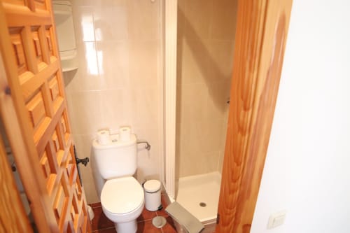 Pequeño baño en Hostal Rosa - Nonna en Sigüenza con inodoro, ducha y puerta de madera