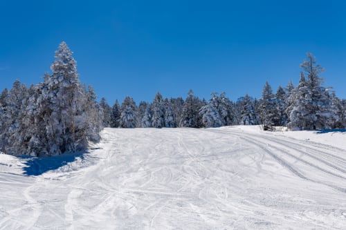 Forêt enneigée et paysage gelé aux 3 Marches, Lamoura