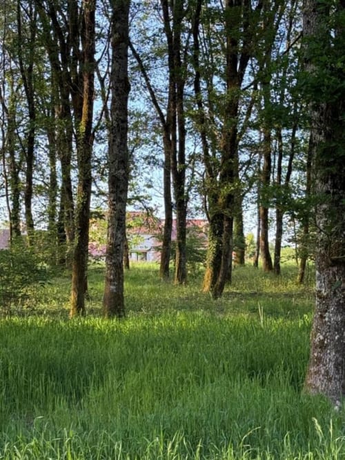 Prairie bordée d'arbres à La Grange Aux Étangs, gîte rural à Sennely, France