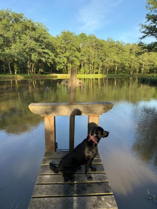Chien noir sur un ponton en bois surplombant le lac tranquille à La Grange Aux Etangs, Sennely