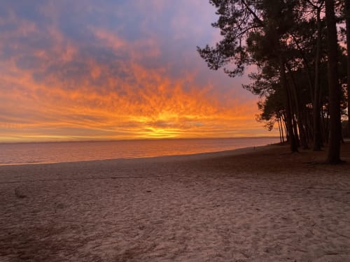 Coucher de soleil sur la plage de Mimizan avec pins, près de l'appartement Côte Landes