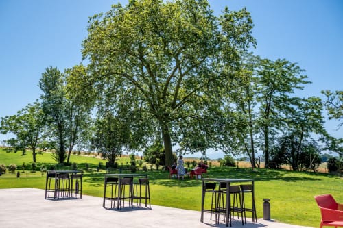 Terrasse extérieure de l'hôtel Lieu-dit Boulage avec bar, pelouse verdoyante et grands arbres ombragés à Marquefave, France