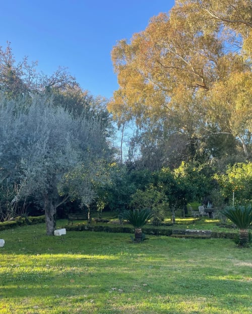 Rigoglioso giardino del Ponteronico Resort a Sessa Aurunca con alberi maestosi, prato verdeggiante e cielo azzurro