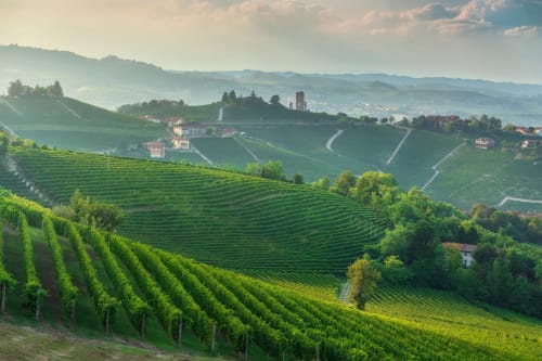 Vigneti ondulati con torre del castello a Ceva, Piemonte - vicino alla Residenza Basiglio
