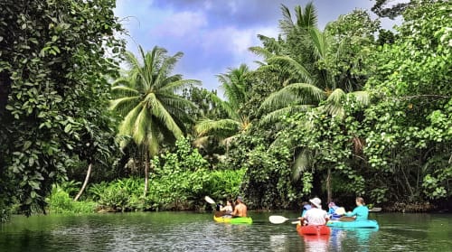 Des clients font du kayak dans une voie navigable tropicale luxuriante à Fare Tihi Moana, Raiatea, entourés de palmiers et de mangroves