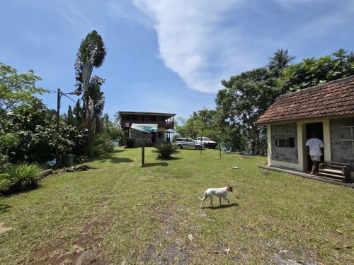 Propriedade Equador em São Tomé com cão branco no gramado verde, edificações tradicionais, palmeiras e vista do jardim