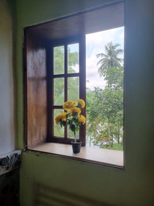 Flores amarelas no peitoril da janela da Equador Houses, São Tomé, com vista para jardins tropicais e o mar