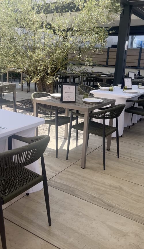 Outdoor patio dining at Hôtel Restaurant Le S'Y in Seingbouse with contemporary furniture and mature olive tree
