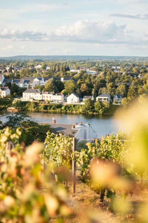 Château Haute Roche overlooks the Loire River valley with vineyards, trees, and charming French countryside in Oudon