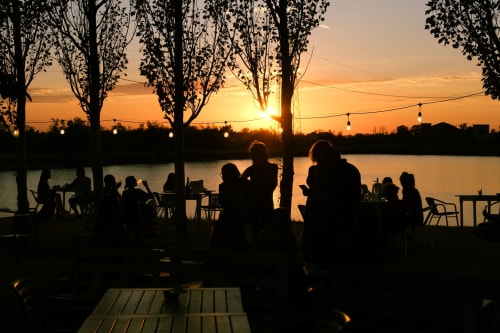 Sunset dining on waterfront terrace at Chateau Haute Roche, Oudon, with silhouetted guests under trees