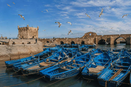 Bateaux de pêche bleus au port d'Essaouira avec forteresse historique et mouettes, près de la médina de Marrakech
