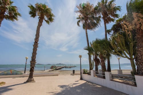 Paseo frente al mar con palmeras, playa arenosa y vistas al océano en Cartagena, España - zona de alojamiento Villa Hammely