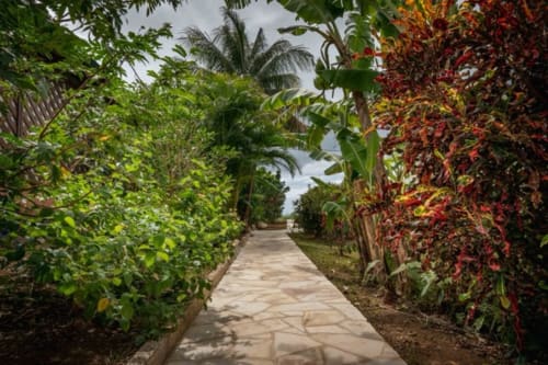 Allée de pierre bordée de feuillage luxuriant vert et rouge aux Gîtes Bagatelle, maison d'hôtes tropicale à Sainte-Rose,