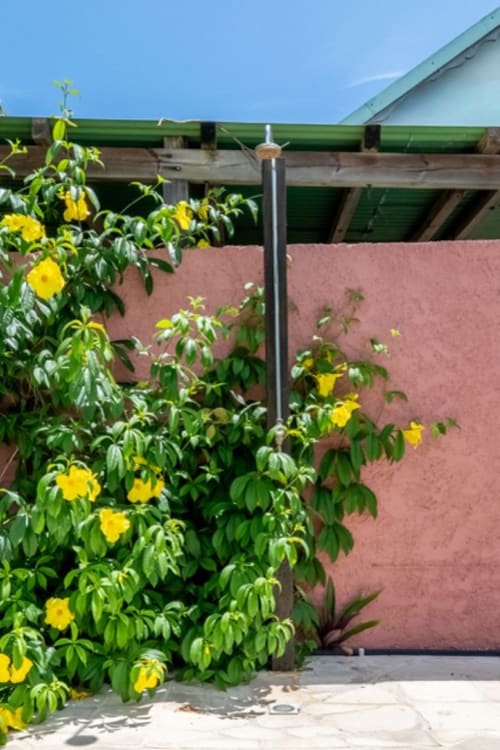 Des fleurs jaunes s'épanouissent contre un mur en terre cuite aux Gîtes Bagatelle à Sainte-Rose, Guadeloupe