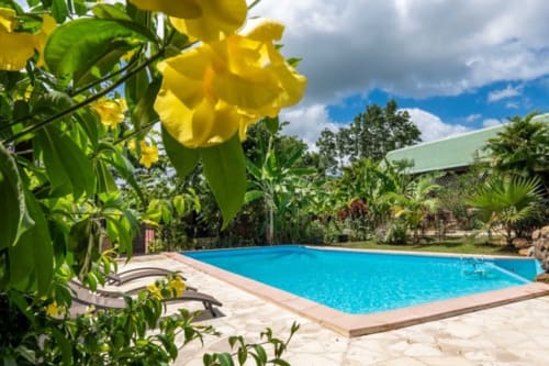 Gîtes Bagatelle à Sainte-Rose : piscine bleu étincelant entourée de jardins tropicaux et de fleurs jaunes