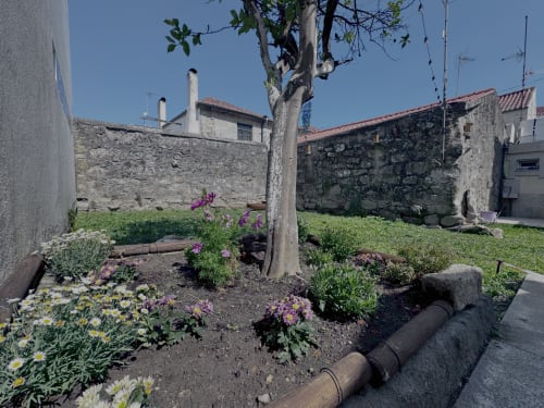 Courtyard garden at Albergue Santiago de Caminha hostel in Caminha with flowering plants, tree, and stone walls under clear