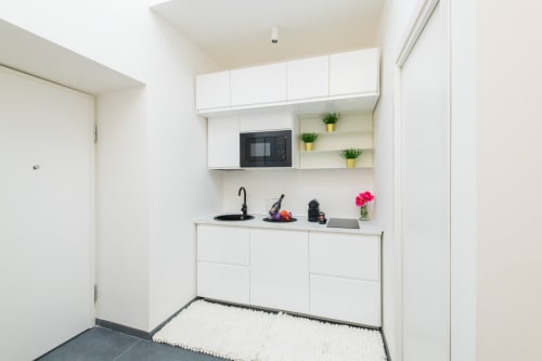 Moderno angolo cottura bianco nell'Appartamento Peonia dell'hotel Almatros a Sulmona, con lavello nero, microonde e ripiani