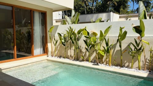 Tropical villa pool with turquoise water, white lounging area, green plants, and wooden door at Oasis Dune Villas Lombok