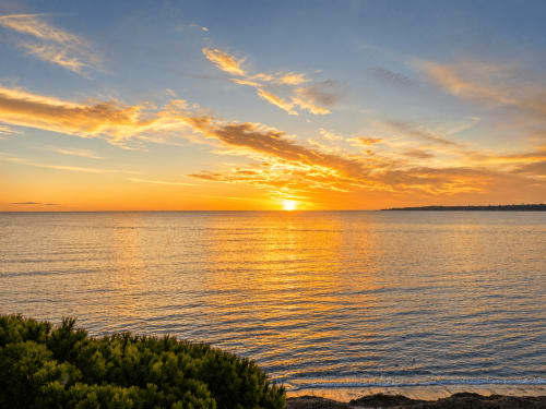 Golden sunset over Mediterranean Sea at Cannes with coastal vegetation, view from Le Saint Georges apartment