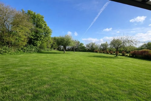Pelouse luxuriante et jardin fleuris au gîte Le Verger en Auge avec arbres en fleurs sous ciel bleu