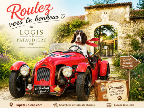 Voiture rouge vintage avec chien au Logis de la Pataudière, gîte à Champigny-sur-Veude, France