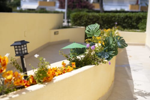 Colorful flower garden with umbrella at RB Algarve Vilamoura apartment, pool view with yellow walls and green plants
