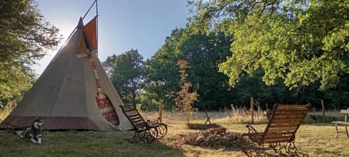 Tipi avec husky au jardin Les Tramois à Donzy, France, avec voitures anciennes et forêt en arrière-plan