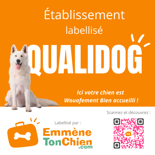 White dog labeled 'QUALIDOG' for certified accommodation at Ancien Presbytère, Gunsbach