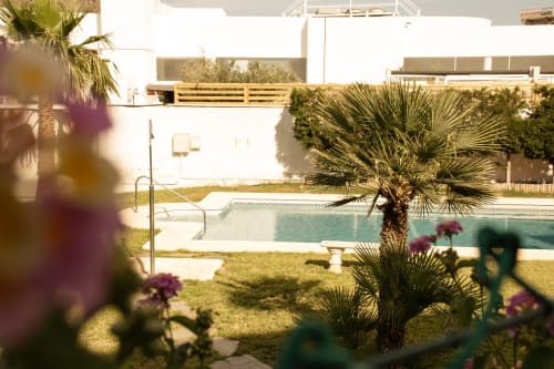 Área de piscina de Apartamentos Manbea en Almería con palmeras, jardín soleado y fachada blanca