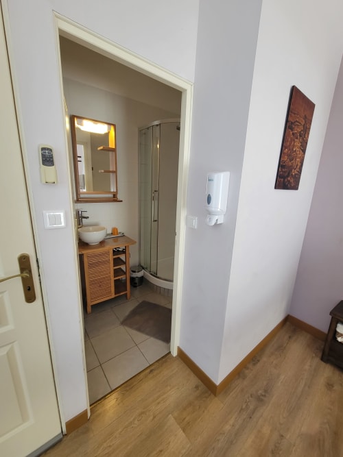 Entrée de salle de bains à La Chambre Violette du B&B Le Cadran Solaire à Courcelles, avec lavabo en bois et douche