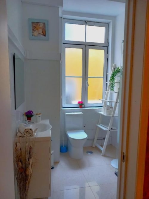 Bright bathroom in Lisbon apartment with toilet, window view, white ladder shelf, and potted flowers