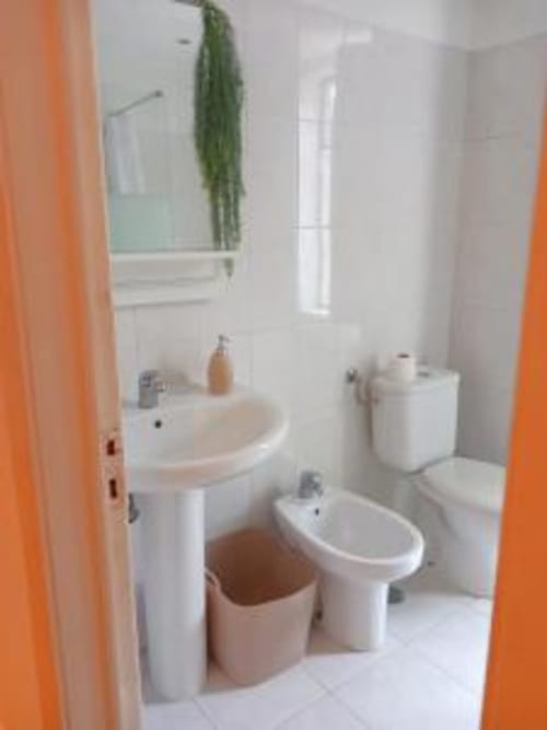 Clean bathroom in Lisbon apartment with white fixtures, sink, toilet, and hanging green plant
