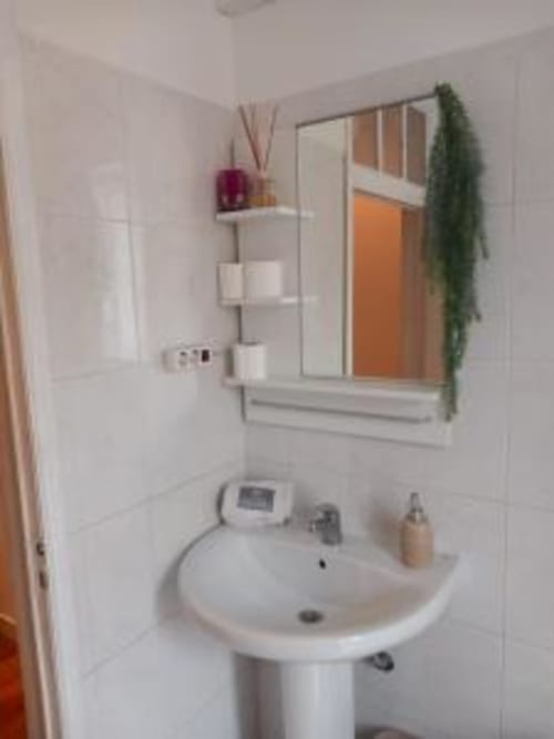 Modern bathroom with white pedestal sink, mirror, wall-mounted shelving, and green plant in Lisbon apartment