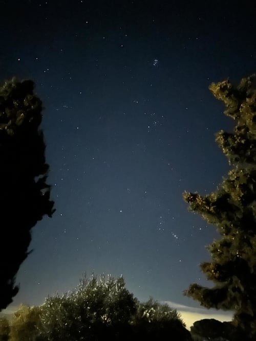 Starry night sky framed by trees at Casa Rural Finca El Olivar cottage in Las Cuevas, Spain