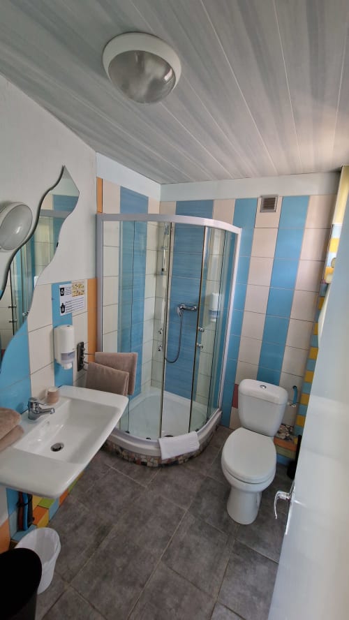 Salle de bain moderne à l'Hôtel Rose avec carrelage bleu et blanc, douche, lavabo et toilettes à Beauvoir, France