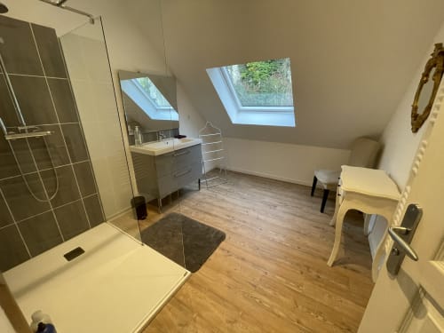 Modern attic bathroom at Les Gites De Flaubert with skylight, walk-in shower, vanity, and wooden floors