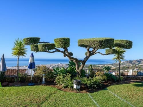 Jardín paisajístico con árbol topiario recortado y vistas al mar en Nerja, España