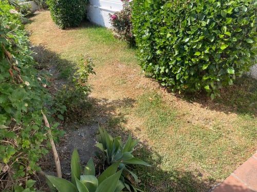 Sendero del jardín en apartamento de lujo Nerja Holiday Homes, bordeado de setos verdes y plantas floridas