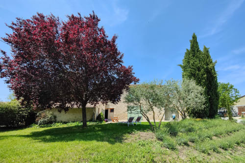 Jardin paysager de Domaine Bellavigne avec arbre au feuillage rouge, bâtisse en pierre et pelouse verte à Forcalquier