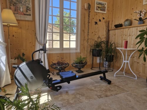 Casa Pertica wellness room in Ceton with rowing machine, plants, and wooden alpine interior