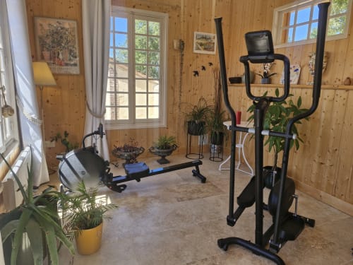 Home gym with exercise equipment and plants in wooden room at Casa Pertica, Ceton