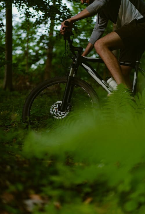 Un cycliste en montagne traverse une forêt luxuriante près de l'hôtel Hidden Bay