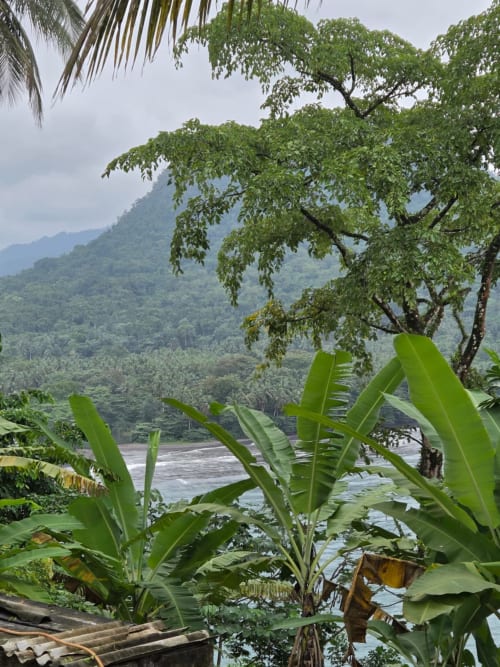Vista do rio tropical de Vila Paraíso com montanhas exuberantes, bananais e paisagem selvagem em São Tomé