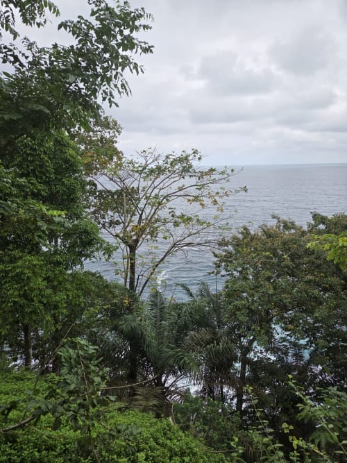 Vista do oceano tropical do quarto Vila Paraíso na Equador Houses, São Tomé, com vegetação exuberante e coqueiros
